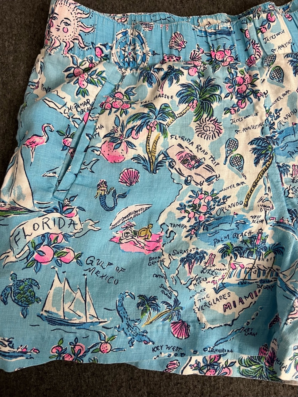 Lilly Pulitzer Light Blue Floral & Map Print Women’s Shorts - Picture 2 of 7
